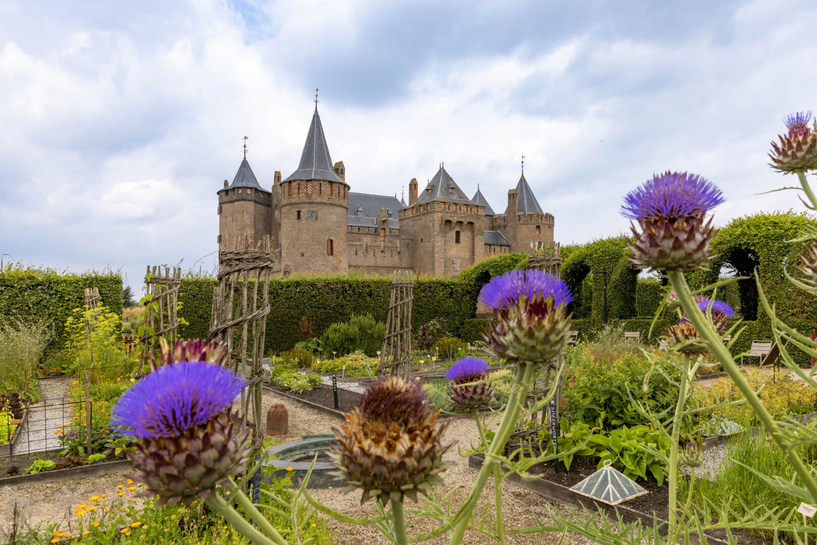 De tuin van het Muiderslot staat in volle bloei, met paarse bloemen. Het is zomer. Het kasteel staat op de achtergrond.