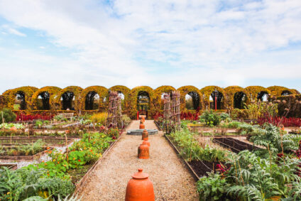 De tuin van het Muiderslot tijdens de herfst. De beukenloofgang kleurt oranje en de lucht is licht bewolkt.