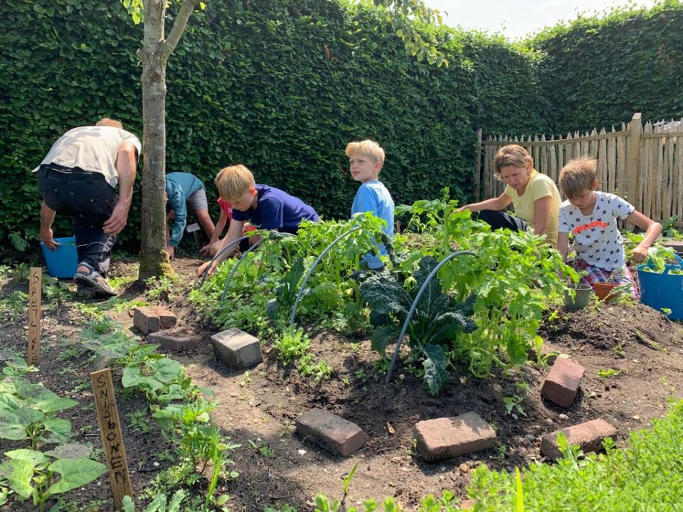 De zon schijnt. Kinderen zijn aan het tuinieren in de tuin op het Muiderslot.