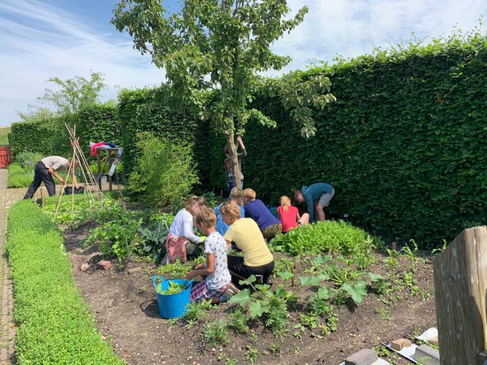 De zon schijnt. Kinderen zijn aan het tuinieren in de tuin op het Muiderslot.