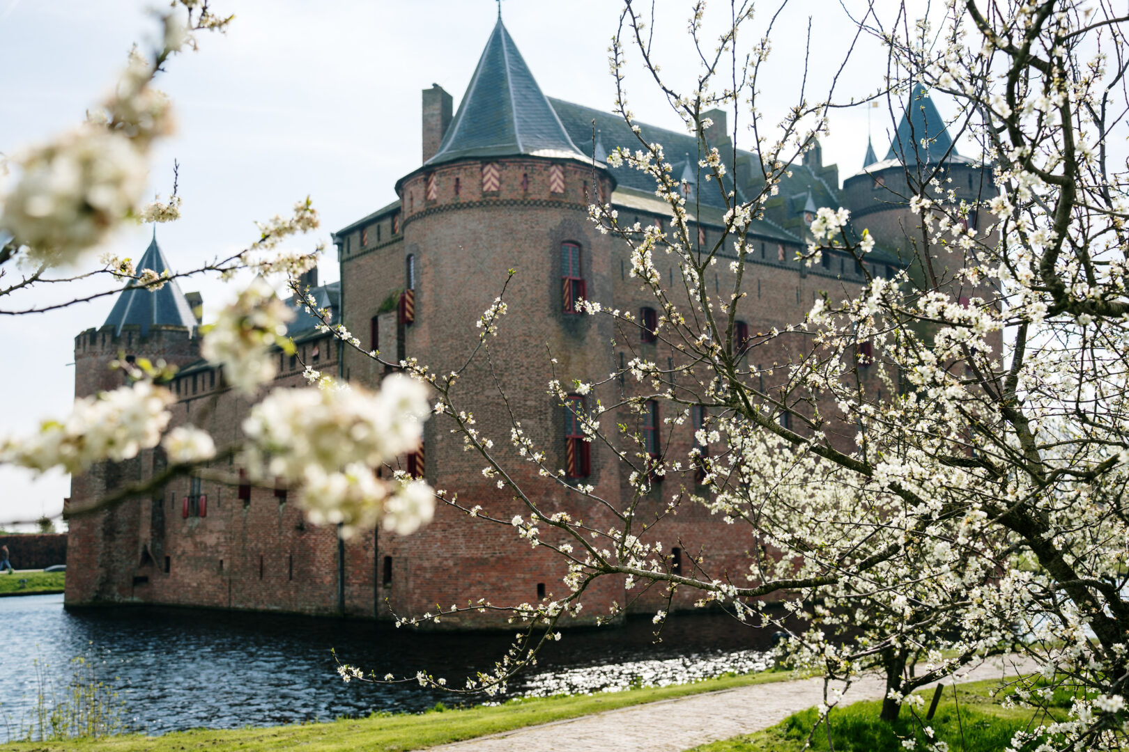 Muiderslot seen through the branches of plum blossom.