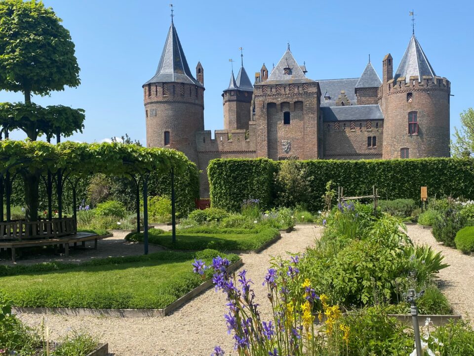 Lente tuin bloemen