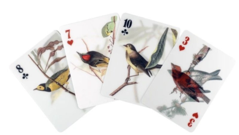 kaartspel met vogels